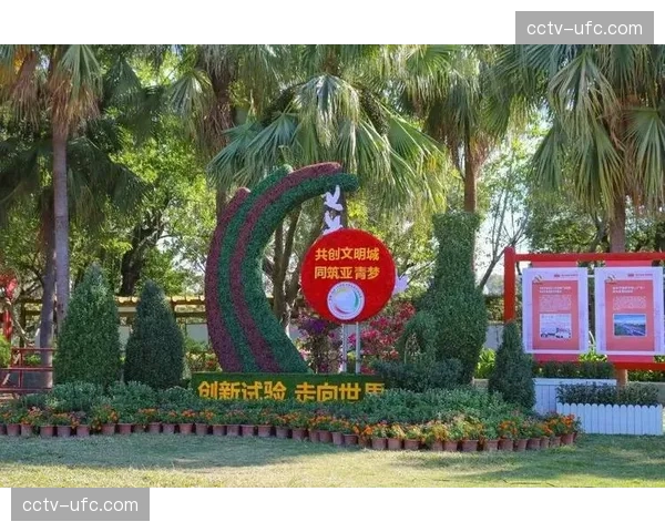 城市运动推广新思路：攀石滑板与手球协同发展可能性探讨