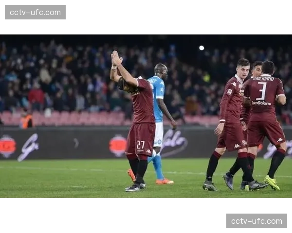 都灵老板开罗向球迷道歉并考虑出售俱乐部 都灵老板开罗向球迷道歉并考虑出售俱乐部