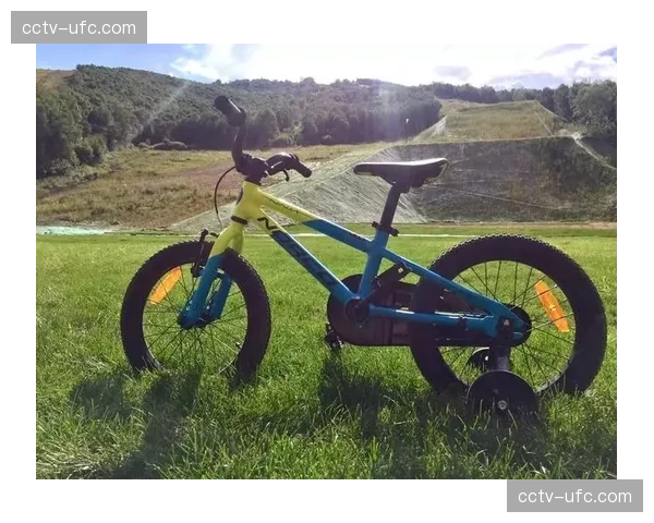 “无痕山林”原则被纳入多国青少年山地车教练培训必修课